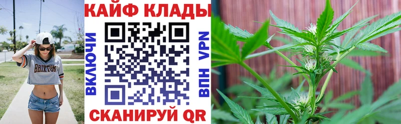 Купить наркотики сайты Шахунья Бошки Шишки  ГАШ 