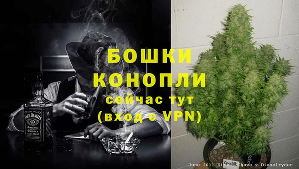 крисы Наволоки