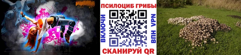 маркетплейс Telegram  omg маркетплейс  Шахунья  Псилоцибиновые грибы Cubensis 