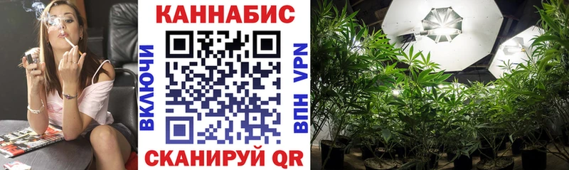 МАРИХУАНА сатива  где продают   Шахунья 